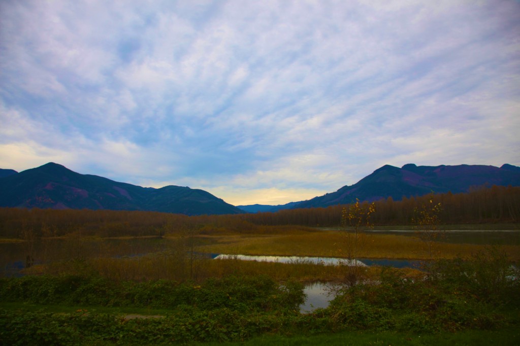 Land For Sale Lyman Wa at Pugliese blog