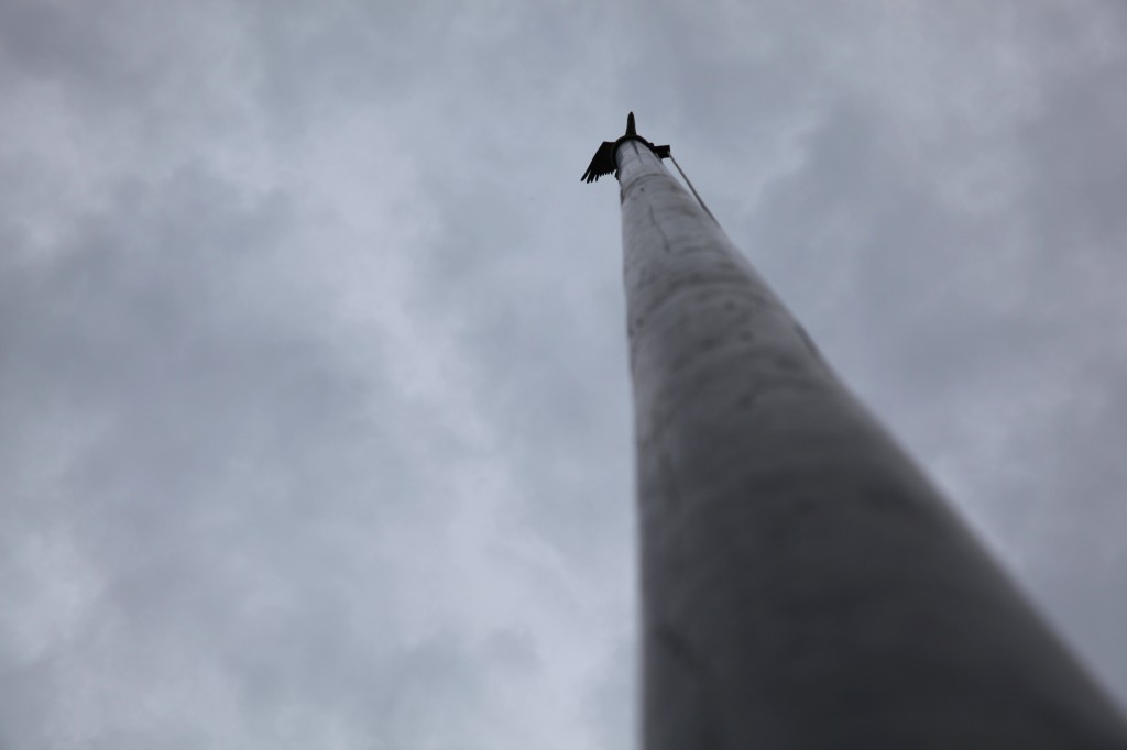 Lyman, WA photos Conrad Askland