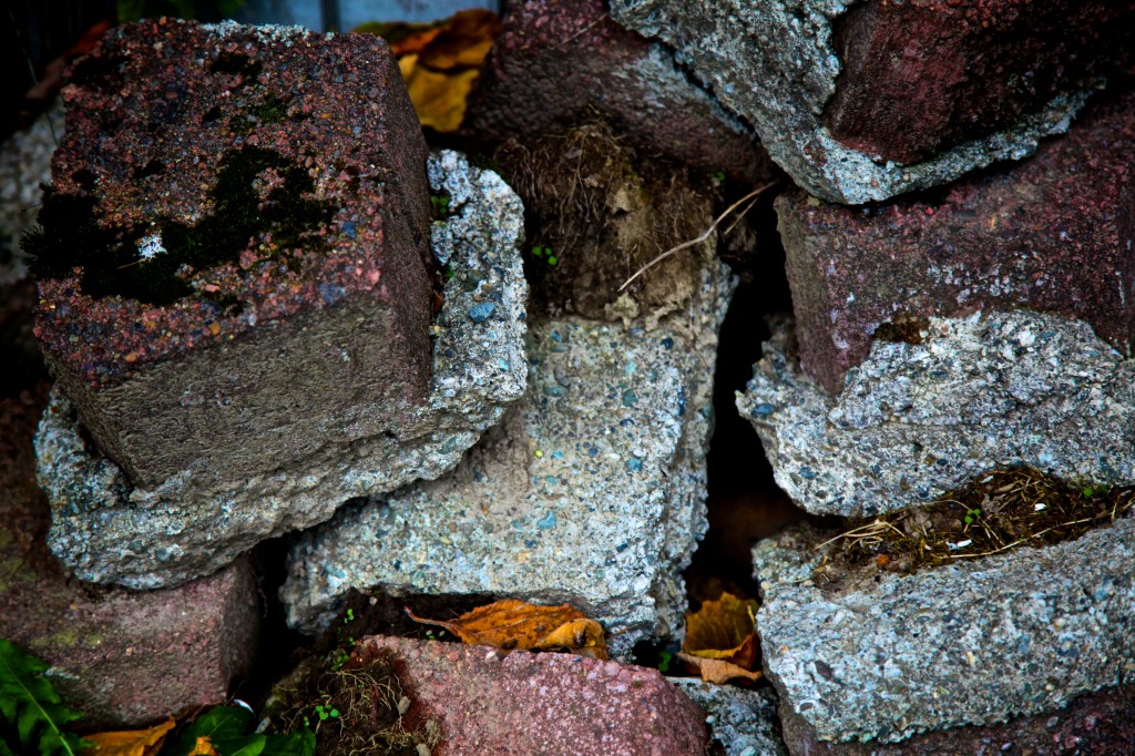 Lyman, WA photos Conrad Askland