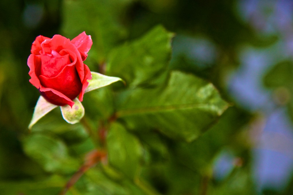 Lyman, WA photos Conrad Askland