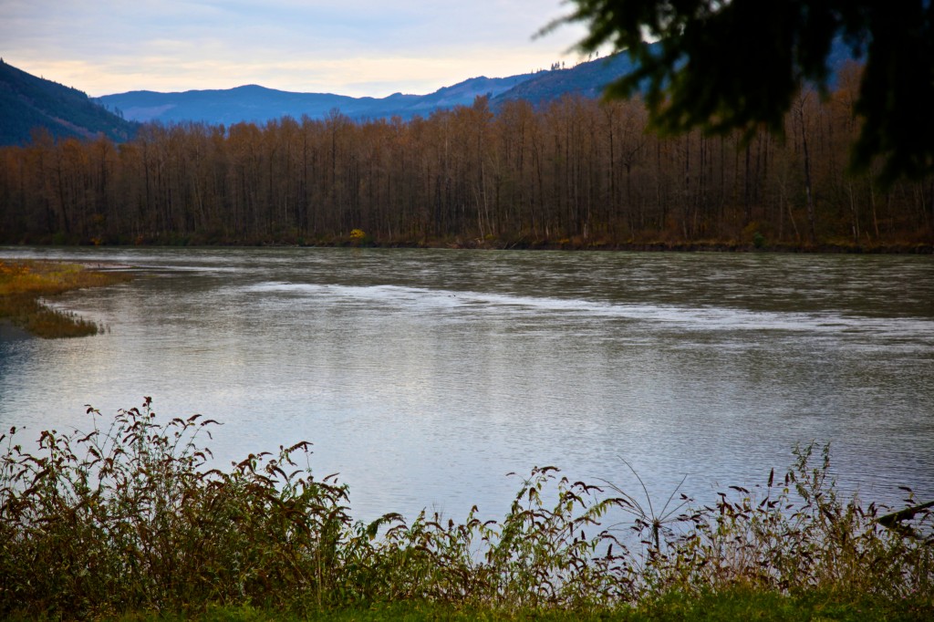 Land For Sale Lyman Wa at Pugliese blog