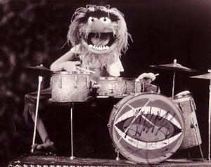 animal-drums1.jpg