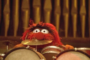 animal-drums2.jpg