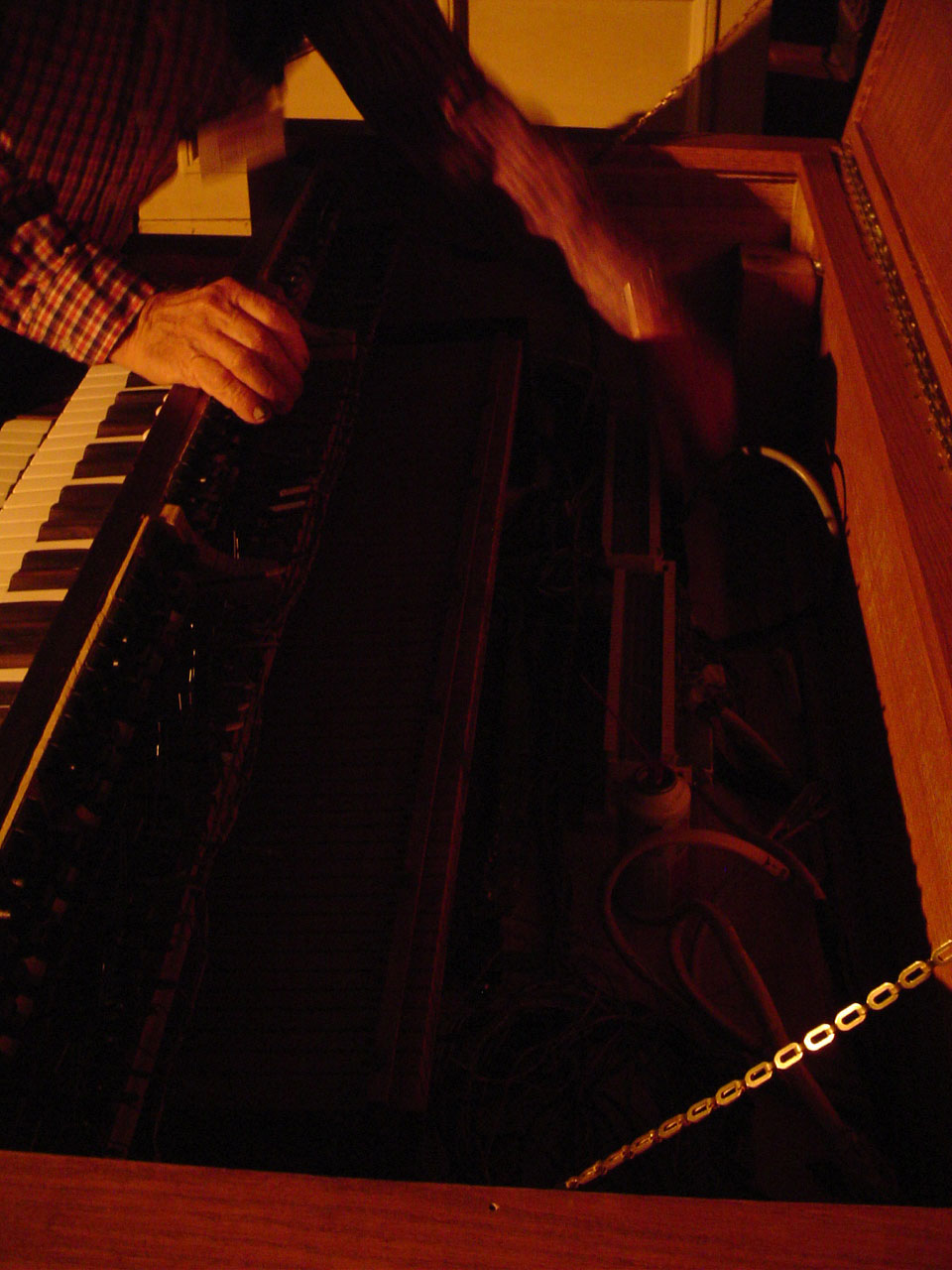 organ4.jpg