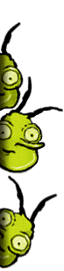 bug-eye-anim.gif