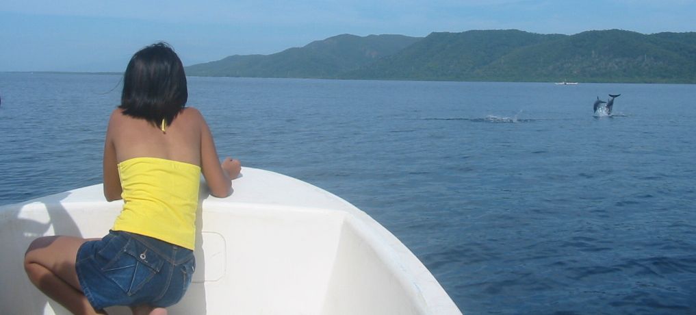 dolphins-puerto-princessa dolphins-puerto-princessa