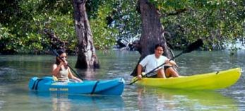 paddleboat-puerto-princessa paddleboat-puerto-princessa