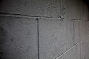 IMG_2275